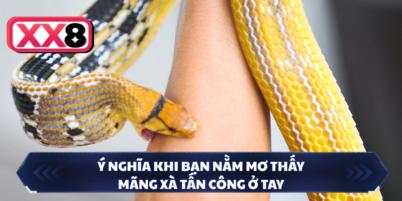 Ý nghĩa khi bạn nằm mơ thấy mãng xà tấn công ở tay